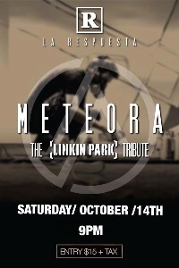METEORA (The Linkin Park Tribute)